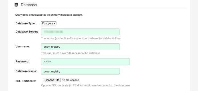 The Database section of the Project Quay setup screen. The Database section of the Project Quay setup screen.