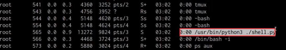 ps aux output with shell.py visible ps aux output with shell.py visible