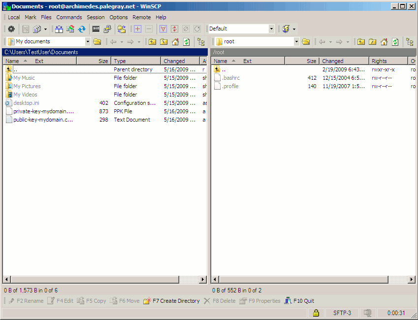 An active WinSCP file transfer session. An active WinSCP file transfer session.